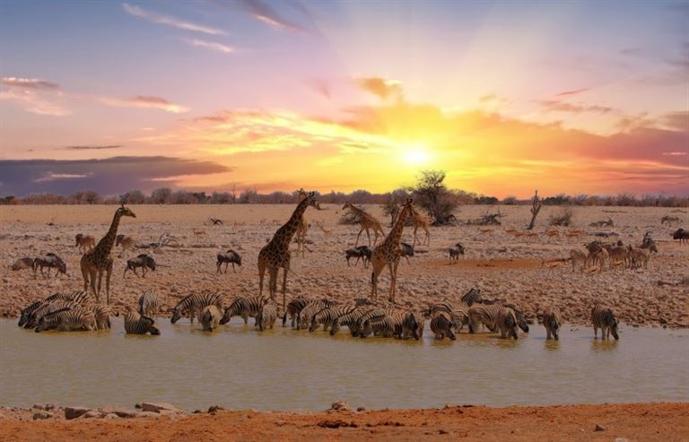 Vom Wüstenmeer zum Sambesi @paulafrench/istock